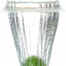 09 hdw experimente 017