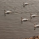 FFFK 07 Werner Matzke