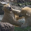 FFFK 10 Barbara Giersch