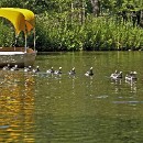 FFFK 11 Wolf-Diether Giersch