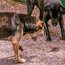 FFFK 23 Werner Matzke