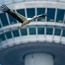 FFFK 29 Werner Matzke