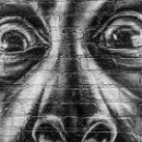 01 LF Kronau 11 Knecht Matthias