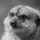 20 LF Kronau 44 Lisske Lea Jugend