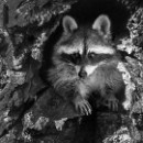 32 LF Kronau 42 Lisske Lea Jugend