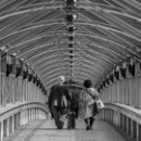 37 LF Kronau 40 Klaus Mozer