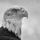 44 LF Kronau 56 Lisske Stefanie