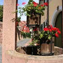 FT Ladenburg 22 Dieter Himmel