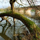 FT Ladenburg 28 Erich Jacob