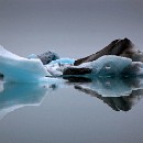 FG Sandhausen 01a Laub Harry