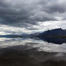 FG Sandhausen 03 Laub Harry