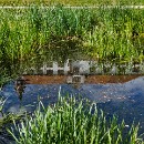 FG Sandhausen 23 Grosspietsch Juergen