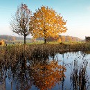 FG Sandhausen 27 Grosspietsch Juergen