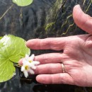 FFC Ketsch Gert Winkler 04