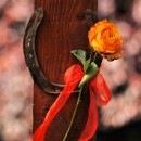 FFC Ketsch Klaus Seitz 03