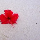 FFC Ketsch Peter Seitz 02