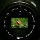 FFC Ketsch Peter Seitz 03