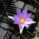 FFC Ketsch Rolf Riesenacker 01