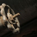 ftrn duisburg-2017 13