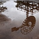 ftrn duisburg-2017 23