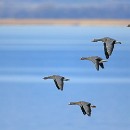 Fotozirkel Mannheim 09 Eimers Manfred