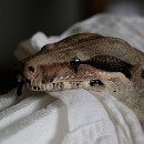 Fotozirkel Mannheim 17 Schlote Barbara