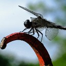 Fotozirkel Mannheim 18 Schlote Barbara