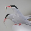 Fotozirkel Mannheim 21 Eimers Manfred