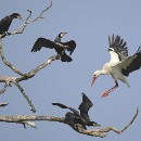 Fotozirkel Mannheim 22 Eimers Manfred