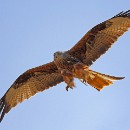 Fotozirkel Mannheim 23 Eimers Manfred