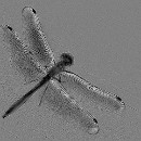 Fotozirkel Mannheim 34 Schlote Barbara