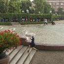 09 Giersch Wolf-Diether