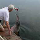 12 Treiber-Kloetzer Christa