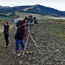 26 Treiber-Kloetzer Christa