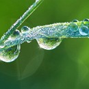 LF kronau 20 Kathrin Thiele