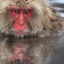 LF kronau 30 Klaus Mozer