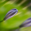 Reflex 82 Meckes 06 Harry Sigmund