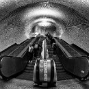 Reflex 82 Meckes 15 Wilfried Goerlich