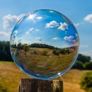 Reflex 82 Meckes 28 Dietmar Kuballa