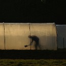 FF-Oberh 18 Wulff Lothar 18