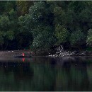 FF-Oberh 19 Feuerstein Klaus 19