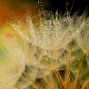 20140321_SV Sandhausen