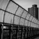 FG Sandhausen 07 Ziegler Peter