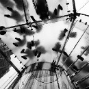 FG Sandhausen 08 Ziegler Peter