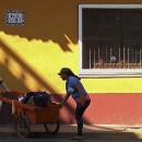 FG Sandhausen 25 Steiner Bernd