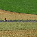 FC Sinsheim 03 Renate Rubel-Mueller