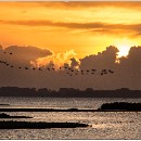 Thema 2 FC Sinsheim 20 Oechsner Petra-Maria