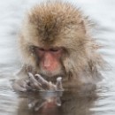 Thema 2 Lichtfaenger 05 Klaus Mozer