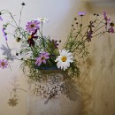 FFC Ketsch Seitz Peter 005