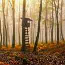 Reflex82 Mathes Rainer 03